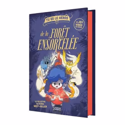 ISBN Collector Tu es le héros de la forêt ensorcelée, Français, 432 pages