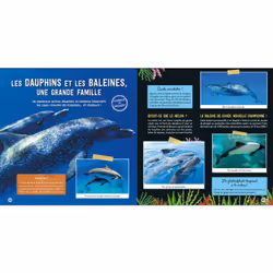 Une saison au zoo, Le grand livre des créatures des océans (Cartonné)
