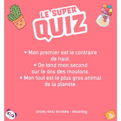 Le super Quiz des filles - Vue supplémentaire 5