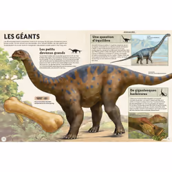 Incroyables animaux de la préhistoire