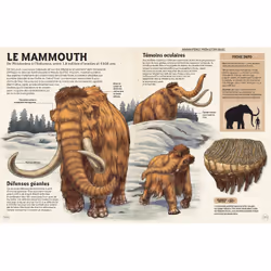 Incroyables animaux de la préhistoire - Vue supplémentaire 4