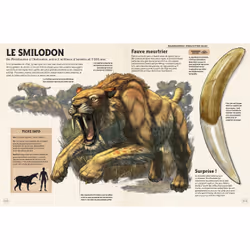 Incroyables animaux de la préhistoire - Vue supplémentaire 5