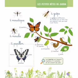 Le grand imagier Montessori de la nature et des animaux (Cartonné) - Vue supplémentaire 5