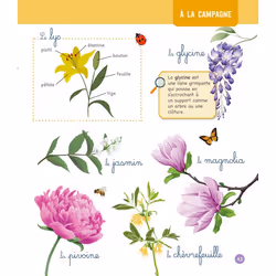Le grand imagier Montessori de la nature et des animaux (Cartonné) - Vue supplémentaire 7