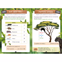 Mes énigmes  Une SAISON AU ZOO CE1