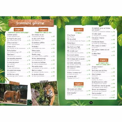 Mes énigmes Une SAISON AU ZOO CP