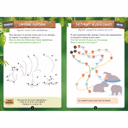 Mes énigmes Une SAISON AU ZOO CP
