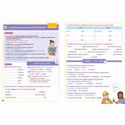 Le FRANCAIS des PETITS GENIES : Tout le CM2 (Broché)
