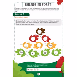 Les défis des Petits Génies CE2-CM1