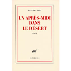 Un après-midi dans le désert