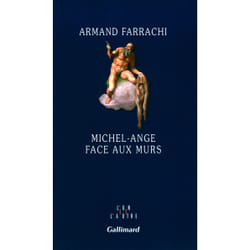 Michel-Ange face aux murs