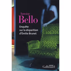 ISBN Enquete Sur La Disparition D'Emilie Brunet, Thrillers, Français, Livre broché