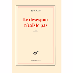 Éditions Gallimard LE DESESPOIR N EXISTE PAS: POEME, Français, Livre broché, 216 pages