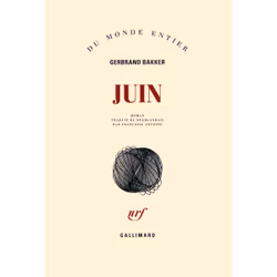 ISBN Juin, Français, 336 pages