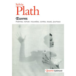 Oeuvres - poèmes, romans, nouvelles, contes, essais, journaux
