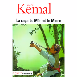 ISBN La saga de Mèmed le Mince, Français, 1652 pages