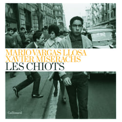 Les chiots