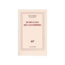 ISBN Du bon usage des catastrophes, Français, 112 pages