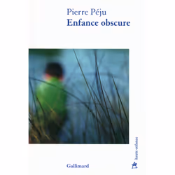 ISBN Enfance obscure, Français, 384 pages