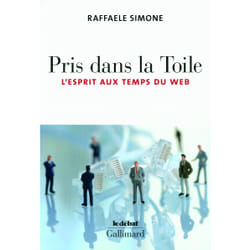 Pris dans la toile - l'esprit aux temps du web