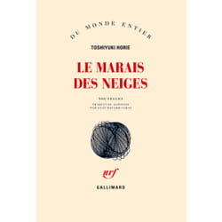 Le marais des neiges