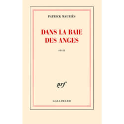 Dans la baie des Anges