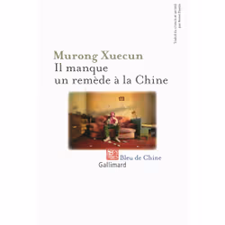 ISBN Il manque un remède à la Chine, Français, 448 pages