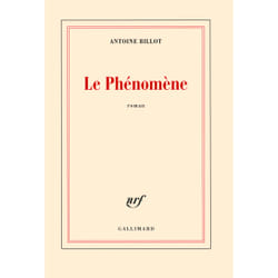Le phénomène