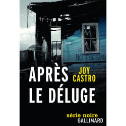 Après le déluge