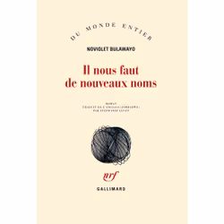 ISBN Il nous faut de nouveaux noms, Français, 288 pages