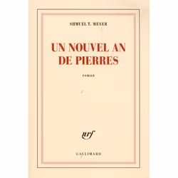 ISBN Un Nouvel An De Pierres, Romance, Français, Livre broché