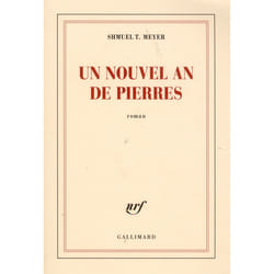 Un nouvel an de pierres
