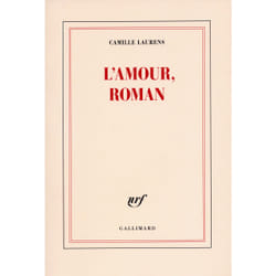 L'amour, roman