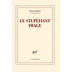 Le stupéfiant image - de la grotte Chauvet au Centre Pompidou)