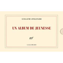 Un album de jeunesse