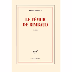 ISBN Le fémur de Rimbaud, Français, 256 pages