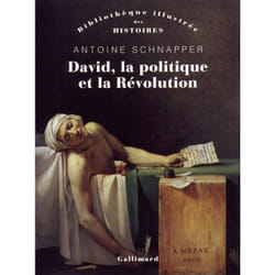 David, la politique et la révolution