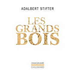 Les grands bois et autres récits