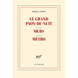Le grand paon-de-nuit - murs - métro