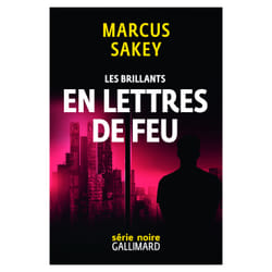Les brillants Tome 3 - en lettres de feu