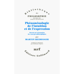 Phénoménologie de l'intuition et de l'expression - théorie de la formation des concepts philosophiques