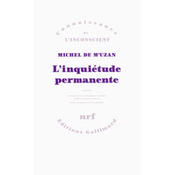 L'inquiétude permanente - glossaire des principales notions élaborées par l'auteur