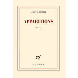 ISBN Apparitions, Français, 288 pages