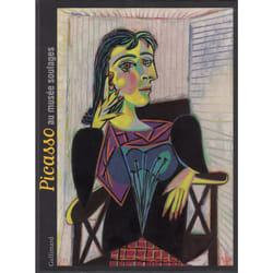 Picasso au musée soulages