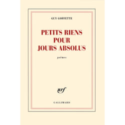 Petits riens pour jours absolus