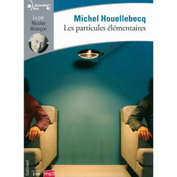Les particules élémentaires