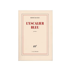 L'escalier bleu