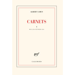 Carnets Tome 1
