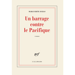 Un barrage contre le Pacifique
