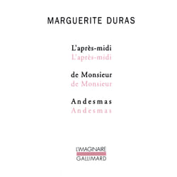 L'apres-midi de monsieur Andesmas